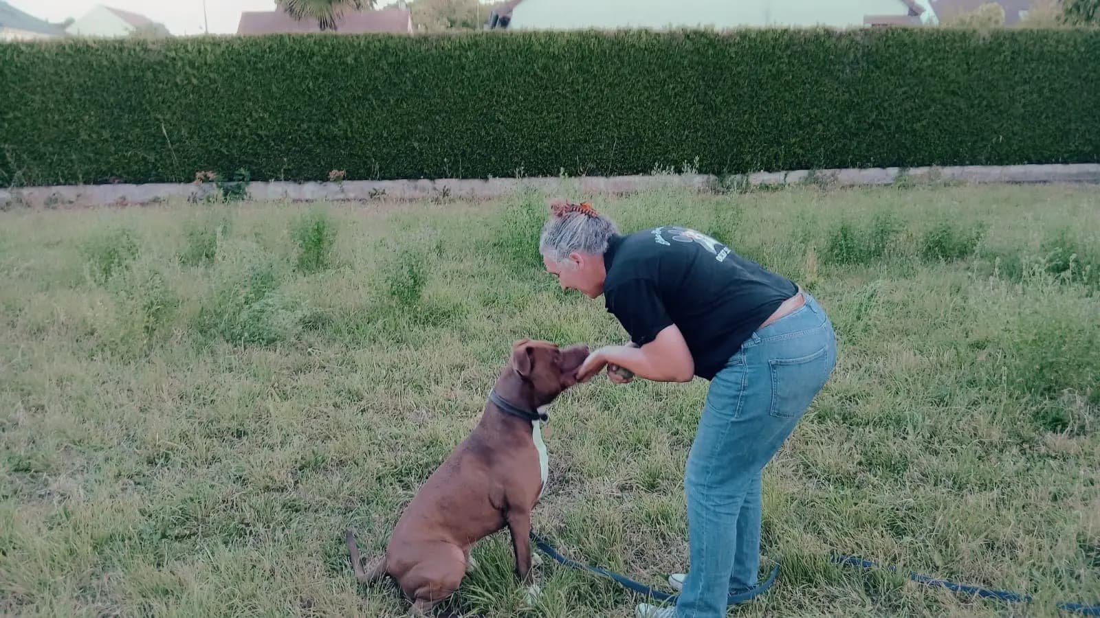 Moment de complicité entre l'éducatrice et un chien