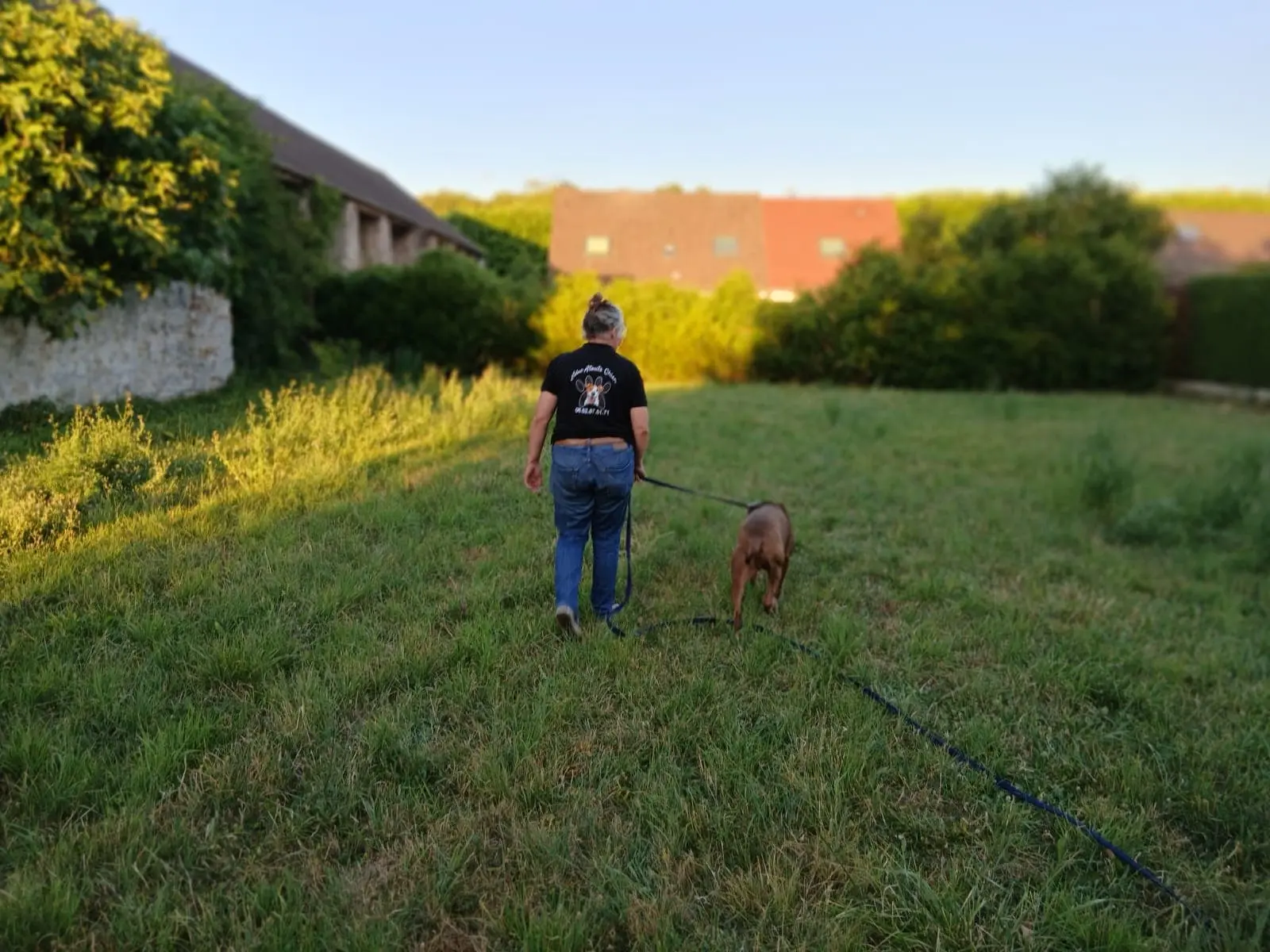 Promenade éducative avec un chien en extérieur
